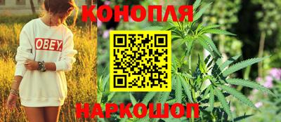 spice Апрелевка