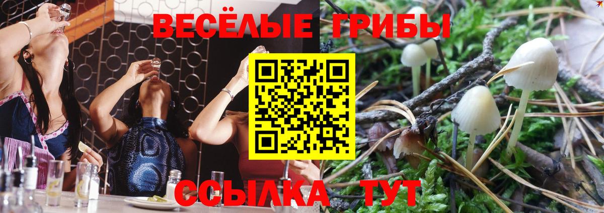 Воронеж  Галлюциногенные грибы мицелий  Псилоцибиновые грибы Psilocybine cubensis  Вход с VPN 