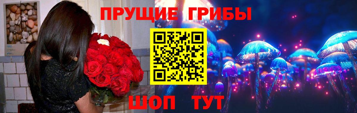 Псилоцибиновые грибы прущие грибы Воронеж